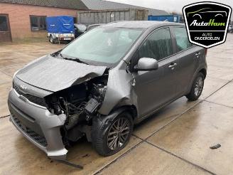 Kia Picanto Picanto (JA), Hatchback, 2017 1.0 DPI 12V picture 4