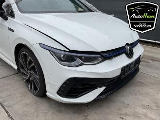 Volkswagen Golf Golf VIII (CD1), Hatchback, 2019 2.0 TSI R 16V 4Motion picture 3