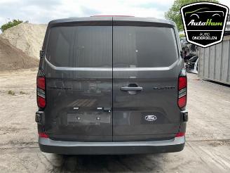 Ford Transit  picture 20