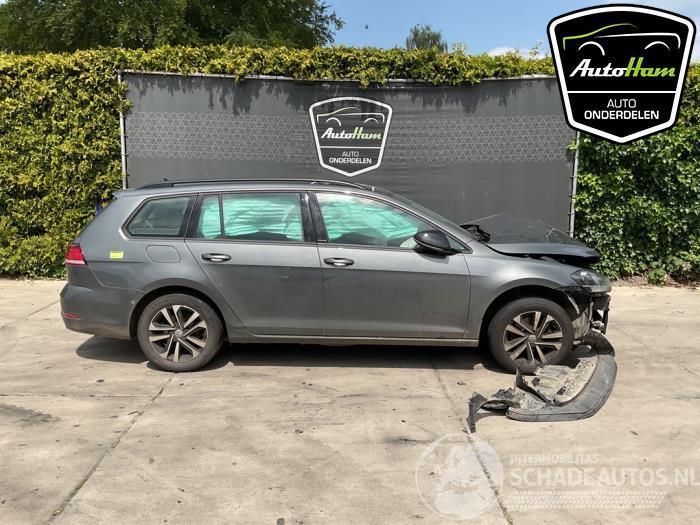 Volkswagen Golf Golf VII Variant (AUVV), Combi, 2013 / 2021 1.0 TSI 12V BlueMotion Technology
