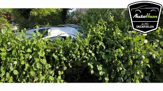 Vrakbiler auto Fiat Panda Panda (169), Hatchback, 2003 / 2013 1.2, Classic 2012/4