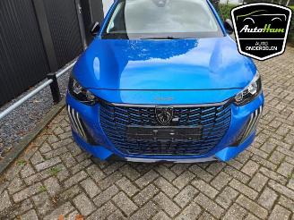 Peugeot 208 208 II (UB/UH/UP), Hatchback 5-drs, 2019 1.2 Hybrid 100 picture 2