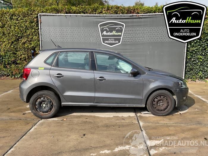 Volkswagen Polo Polo V (6R), Hatchback, 2009 / 2017 1.2 12V BlueMotion Technology