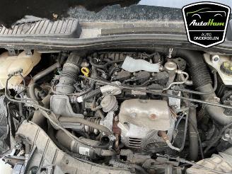 Ford C-Max C-Max (DXA), MPV, 2010 / 2019 1.0 Ti-VCT EcoBoost 12V 125 picture 13
