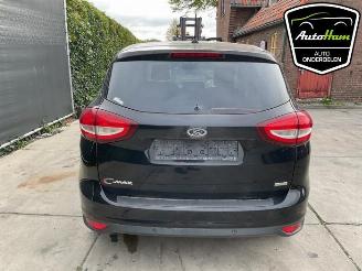 Ford C-Max C-Max (DXA), MPV, 2010 / 2019 1.0 Ti-VCT EcoBoost 12V 125 picture 9