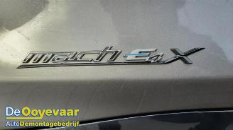 Ford Mustang Mach-e Mustang Mach-E, SUV, 2020 98kWh AWD picture 2