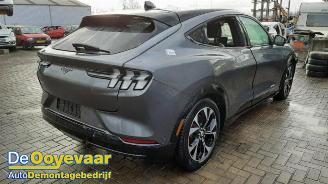 Ford Mustang Mach-e Mustang Mach-E, SUV, 2020 98kWh AWD picture 6