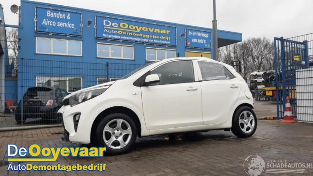 Kia Picanto Picanto (JA), Hatchback, 2017 1.0 12V