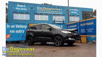 Sloopauto Ford Kuga Kuga II (DM2), SUV, 2012 2.0 TDCi 16V 163 4x4 2013/5