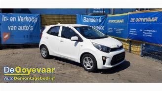 Salvage car Kia Picanto Picanto (JA), Hatchback, 2017 1.0 12V 2019/11
