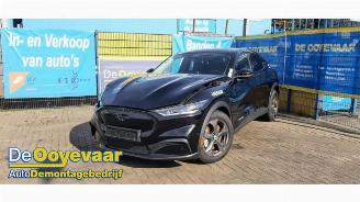 Ford USA Mustang Mustang Mach-E, SUV, 2020 75kWh RWD, 98kWh Extended RWD picture 5
