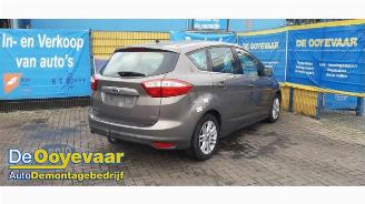 Ford C-Max C-Max (DXA), MPV, 2010 / 2019 1.0 Ti-VCT EcoBoost 12V 125 picture 7