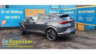 disassembly passenger cars Cupra Formentor Formentor, SUV, 2020 2.0 TSI 16V 4Drive 2021/3