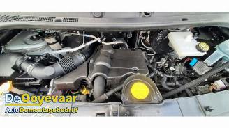 Nissan Interstar Interstar, Van, 2021 / 2024 2.3 dCi 135 16V picture 3