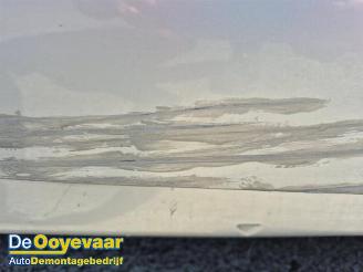 Renault Scenic Scenic III (JZ), MPV, 2009 / 2016 2.0 16V CVT picture 15