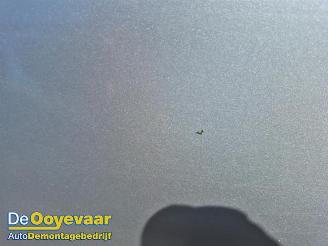 Renault Scenic Scenic III (JZ), MPV, 2009 / 2016 2.0 16V CVT picture 19