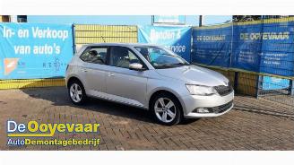 Vrakbiler auto Skoda Fabia Fabia III (NJ3), Hatchback 5-drs, 2014 / 2021 1.0 TSI 12V 2018/10