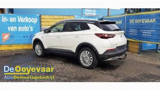 Uttjänta bilar auto Opel Grandland Grandland (X), SUV, 2017 1.2 Turbo 12V 2018/3