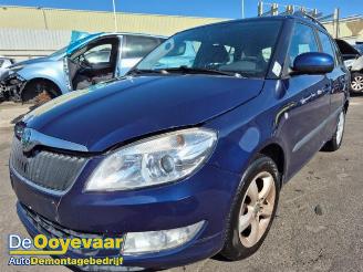 Skoda Fabia Fabia II Combi, Combi 5-drs, 2007 / 2015 1.2 TDI 12V Greenline picture 1