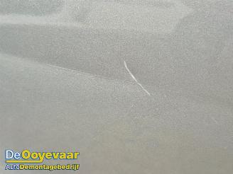 Suzuki Grand-vitara Grand Vitara II (JT), SUV, 2005 2.0 16V picture 6