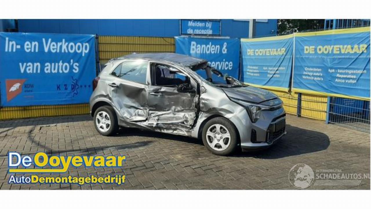 Kia Picanto Picanto (JA), Hatchback, 2017 1.0 DPI 12V