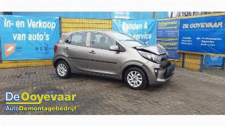 Auto da rottamare Kia Picanto Picanto (JA), Hatchback, 2017 1.0 12V 2018/12