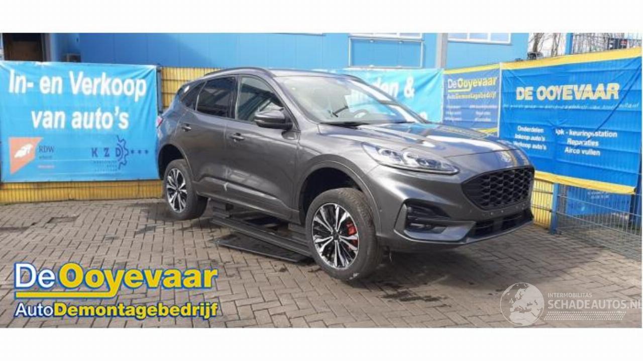 Ford Kuga Kuga III (DFK), SUV, 2019 2.5 PHEV 16V
