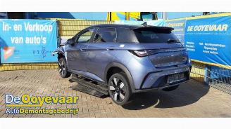 BYD Dolphin Dolphin, Hatchback 5-drs, 2021 60,4 kWh picture 2