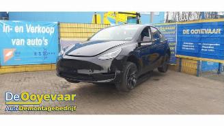 Tesla Model Y Model Y (5YJY), SUV, 2019 / 2025 RWD picture 2