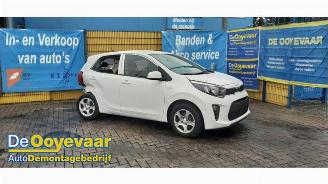 Démontage voiture Kia Picanto Picanto (JA), Hatchback, 2017 1.0 DPI 12V 2024/2