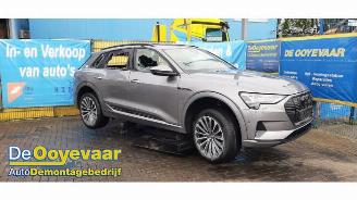 Dezmembrări autoturisme Audi E-tron e-tron (GEN), SUV, 2018 / 2023 55 quattro 2019/12