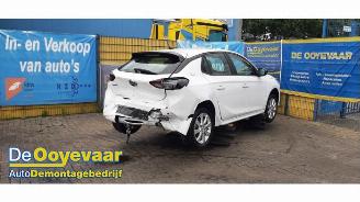 Opel Corsa Corsa F (UB/UH/UP), Hatchback 5-drs, 2019 1.2 Turbo 12V 100 picture 4