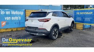 Opel Grandland Grandland (X), SUV, 2017 1.2 Turbo 12V picture 4