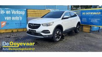 Opel Grandland Grandland (X), SUV, 2017 1.2 Turbo 12V picture 2