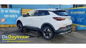 Opel Grandland Grandland (X), SUV, 2017 1.2 Turbo 12V picture 3