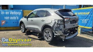 Ford Kuga Kuga III (DFK), SUV, 2019 2.5 PHEV 16V picture 3