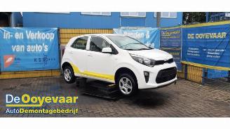 Coche siniestrado Kia Picanto Picanto (JA), Hatchback, 2017 1.0 DPi 12V 2022/8