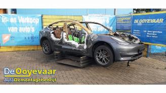 Unfallwagen Tesla Model 3 Model 3, Sedan, 2017 Long Range, Performance AWD 2019/6