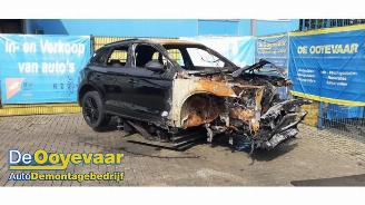 Audi Q5 Q5 (FYB/FYG), SUV, 2016 2.0 50 TFSI e 16V Quattro picture 3