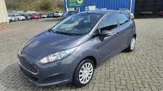 ocasión turismos Ford Fiesta Ford Fiesta Trend top staat 2015/3