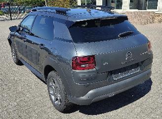 Citroën C4 cactus Citroën C4 Cactus Shine picture 3