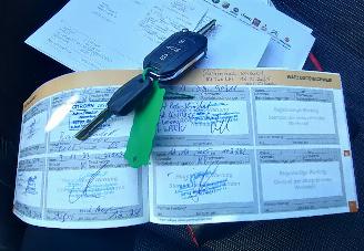 Citroën C4 cactus Citroën C4 Cactus Shine picture 12