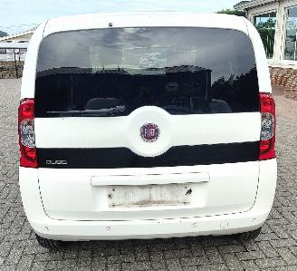 Fiat Qubo qubo pop moterschade picture 4