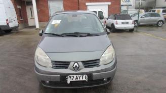 Avarii autoturisme Renault Scenic TECHNISCHE FICHE!! 2005/4