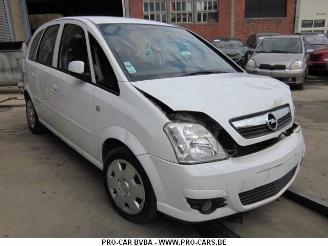 Opel Meriva  picture 2