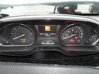 Peugeot 2008  picture 21