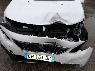 Peugeot 2008  picture 10