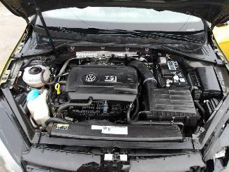 Volkswagen Golf R-TYPE picture 18