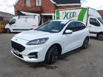 Damaged car Ford Kuga ST LINE 2021/1