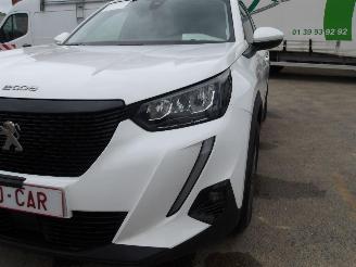 Peugeot 2008 1.5 HDI picture 12